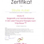 Laser-Frequenz-Therapie nach Vinja Bauer™ Modul 3